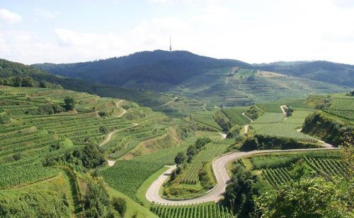 Landgasthof Zum Lamm Bahlingen  Exterior photo